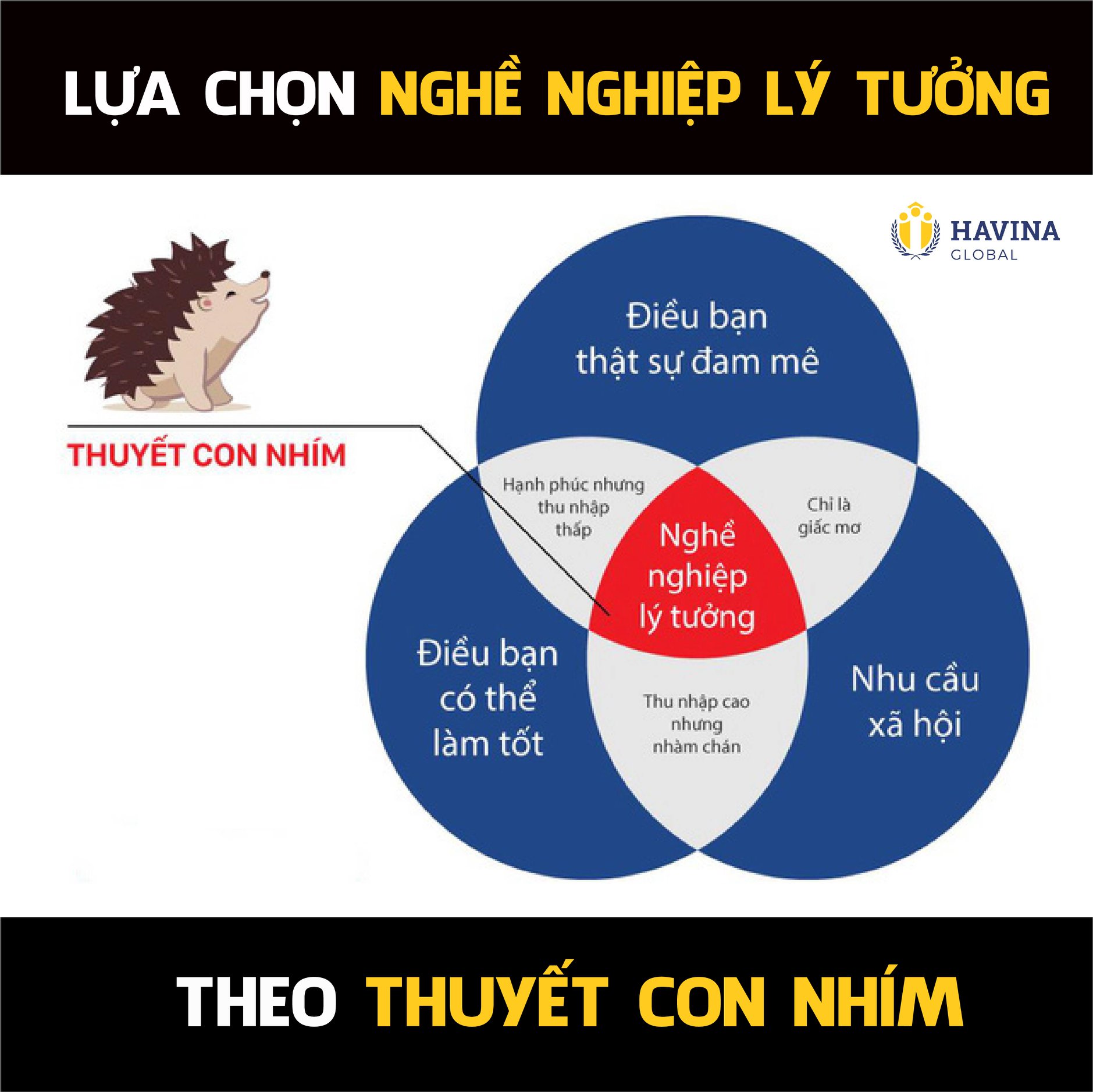 Áp dụng tư duy 3 vòng tròn con nhím để trở thành vĩ đại